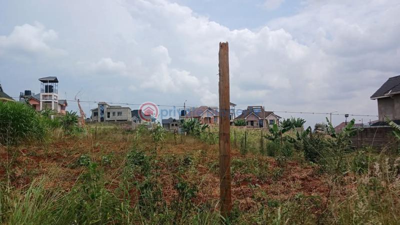 Land For Sale Green Ridge Estate mugutha Ruiru Kiambu - 4