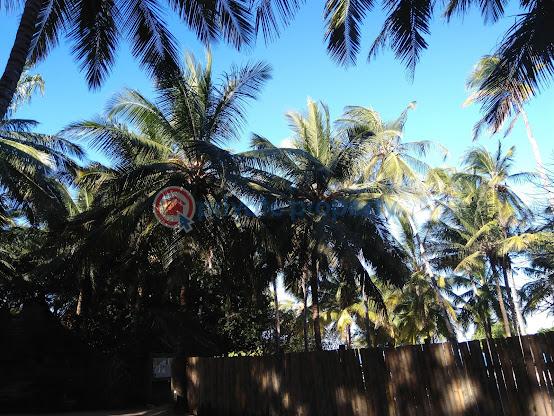 Land For Sale Mtepeni Kilifi - 10