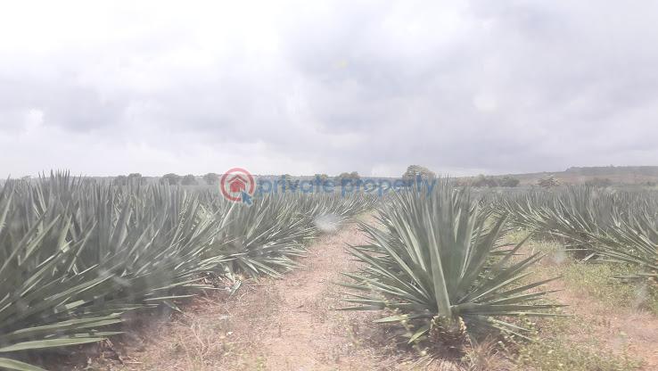 Land For Sale Mtepeni Kilifi - 13