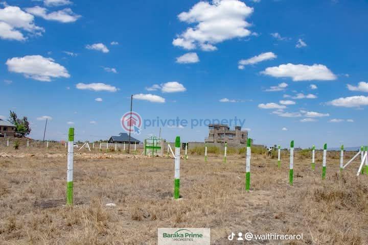 Land For Sale Kiratina kamakis Ruiru Kiambu - 5