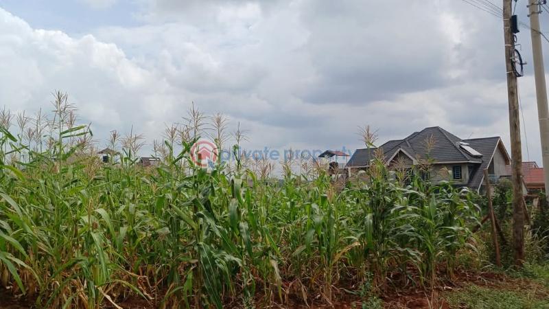 Land For Sale Green Ridge Estate mugutha Ruiru Kiambu - 3