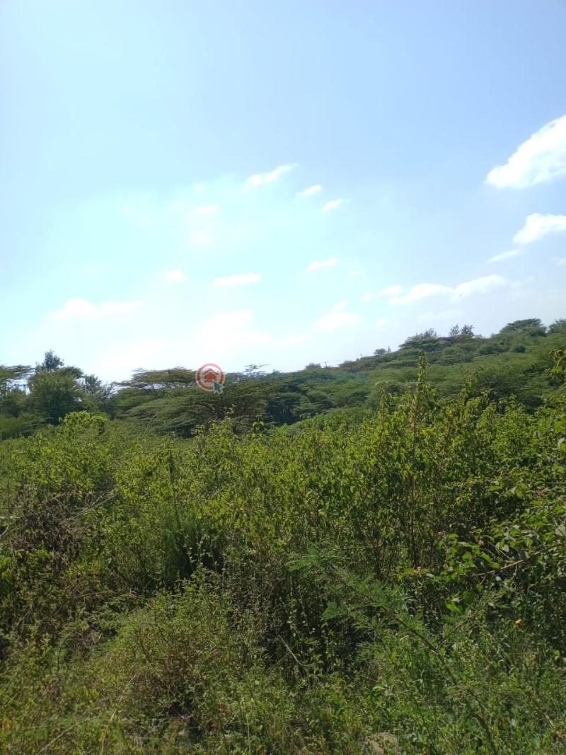 Land For Sale Ongata Rongai Kandisi Area Rongai Ongata Rongai Kajiado - 8
