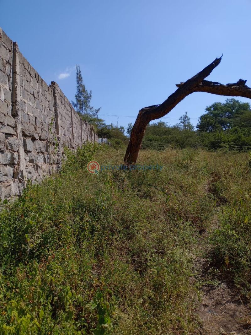 Land For Sale Ongata Rongai Kandisi Area Rongai Ongata Rongai Kajiado - 6