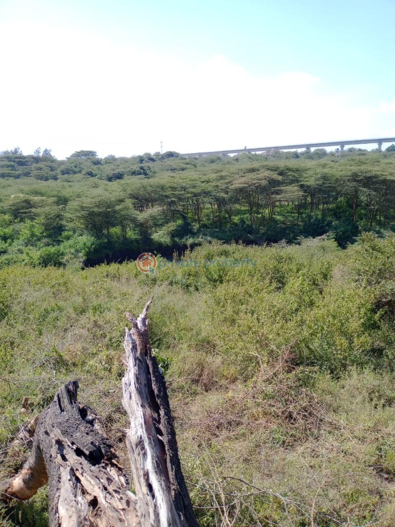 Land For Sale Ongata Rongai Kandisi Area Rongai Ongata Rongai Kajiado - 10
