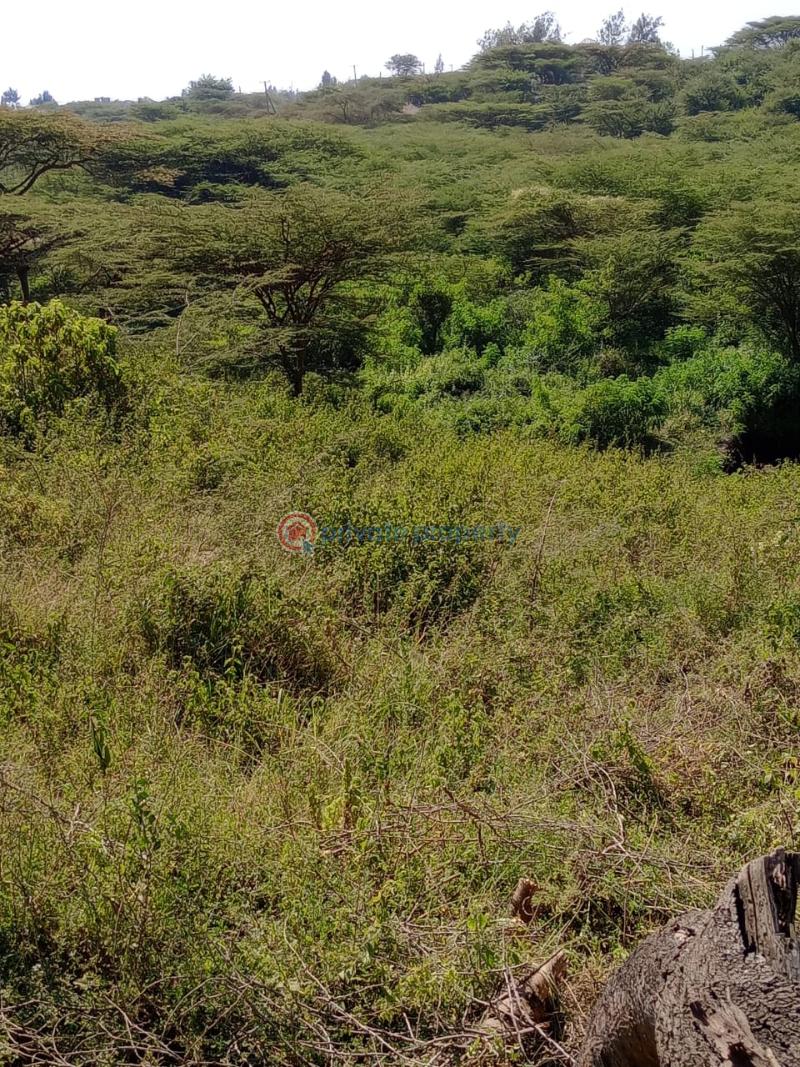 Land For Sale Ongata Rongai Kandisi Area Rongai Ongata Rongai Kajiado - 12
