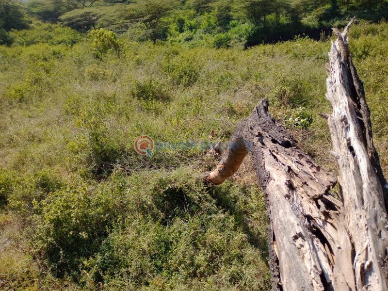 Land For Sale Ongata Rongai Kandisi Area Rongai Ongata Rongai Kajiado - 7
