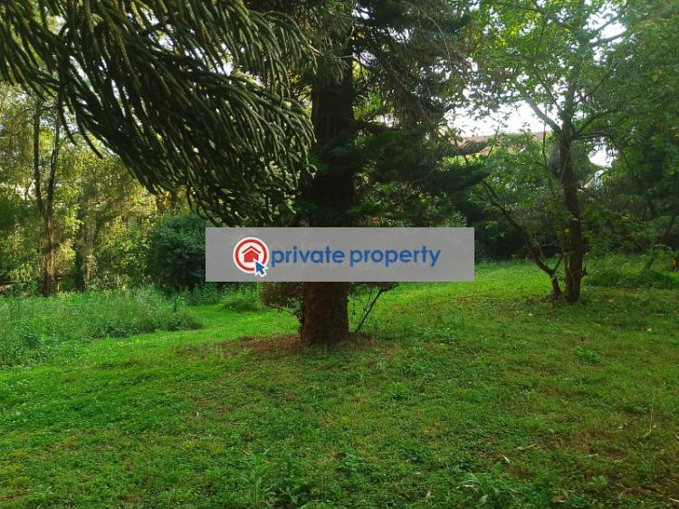 Residential Land For Sale &nbsp;mbaazi Lavington Nairobi - 4