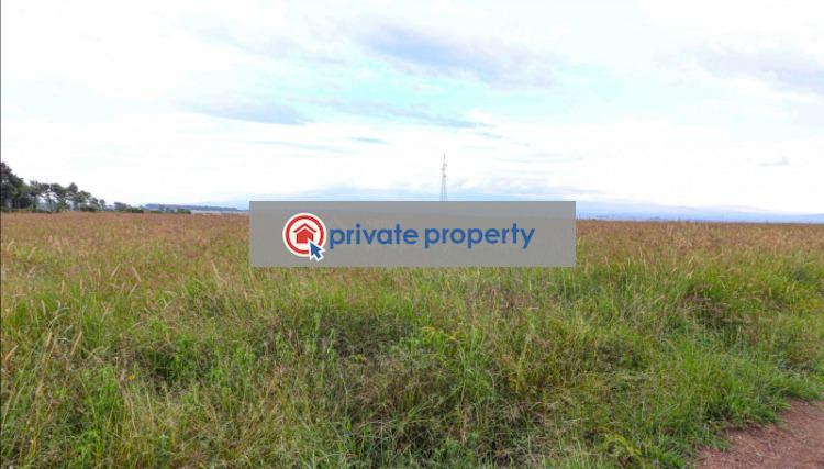 Mixed use Land For Sale &nbsp;narumoru Nanyuki Laikipia - 2