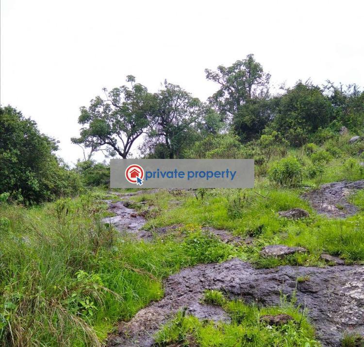 Mixed use Land For Sale &nbsp;narumoru Nanyuki Laikipia - 3