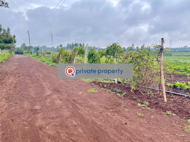 Land For Sale Ndeiya Kiambu - 4