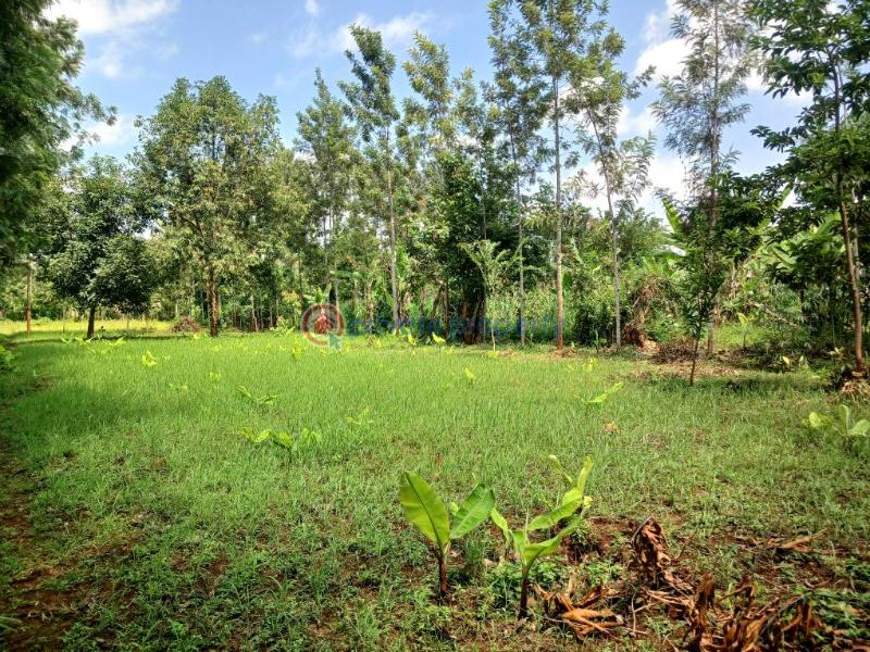 Commercial Land For Sale Lavington Nairobi - 6