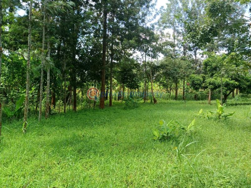 Commercial Land For Sale Lavington Nairobi - 2