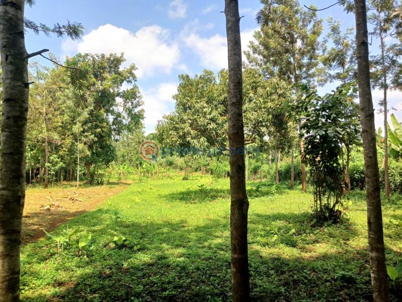 Commercial Land For Sale Lavington Nairobi - 5