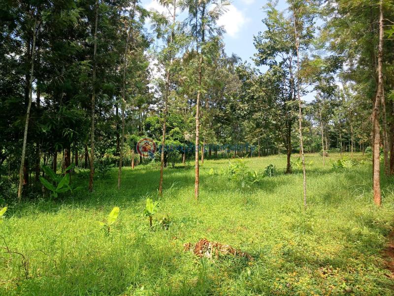 Commercial Land For Sale Lavington Nairobi - 4