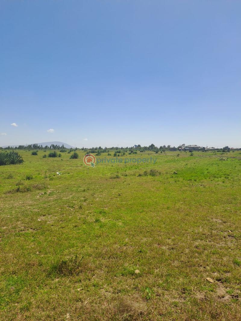 Residential Land For Sale David Waiganjo Kigwe Road Mastore Center Juja Kiambu - 5