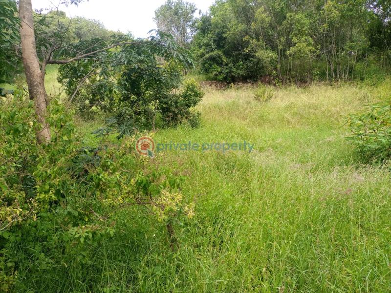 Commercial Land For Sale Nanyuki Laikipia - 3