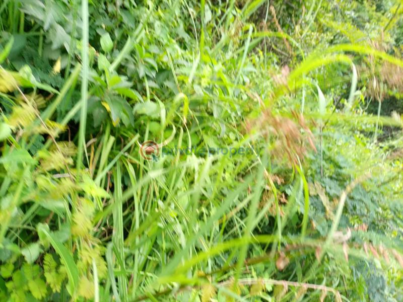 Commercial Land For Sale Nanyuki Laikipia - 6