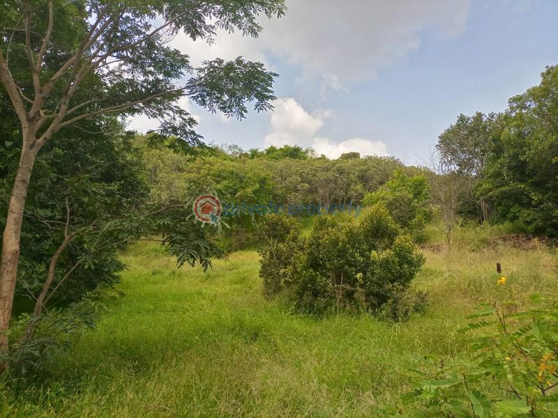 Commercial Land For Sale Nanyuki Laikipia - 5