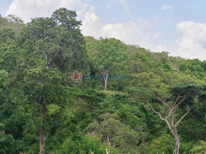 Commercial Land For Sale Nanyuki Laikipia - 1