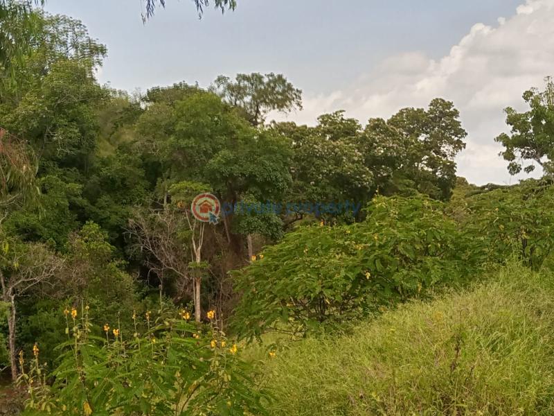 Commercial Land For Sale Nanyuki Laikipia - 2
