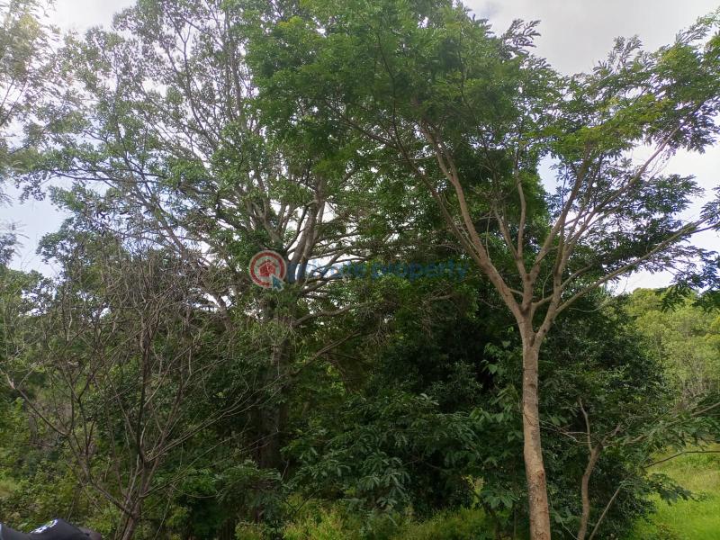 Commercial Land For Sale Nanyuki Laikipia - 4