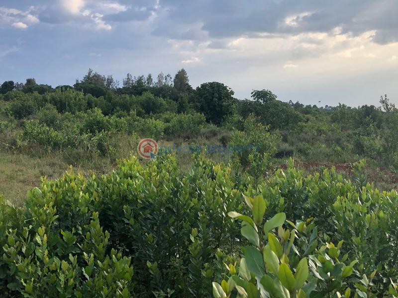 Land For Sale Nanyuki Laikipia - 2