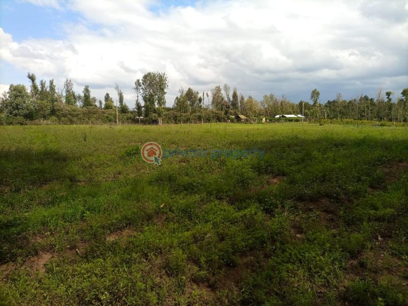 Commercial Property For Sale Nanyuki Laikipia - 3