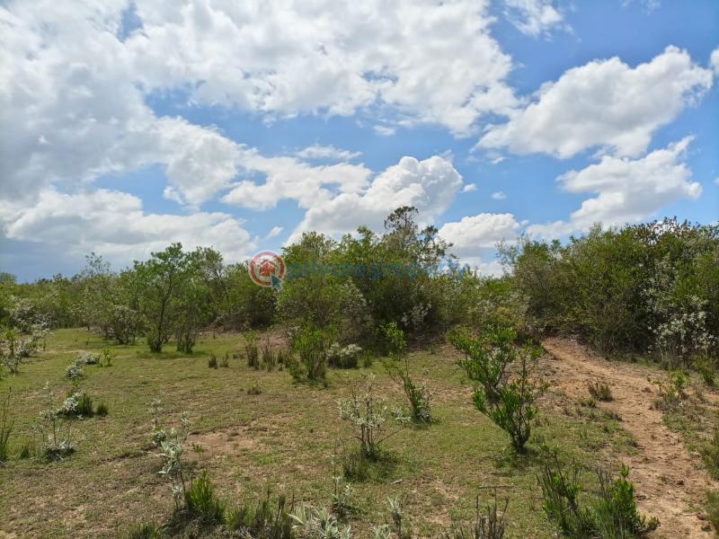 Commercial Property For Sale Nanyuki Laikipia - 4