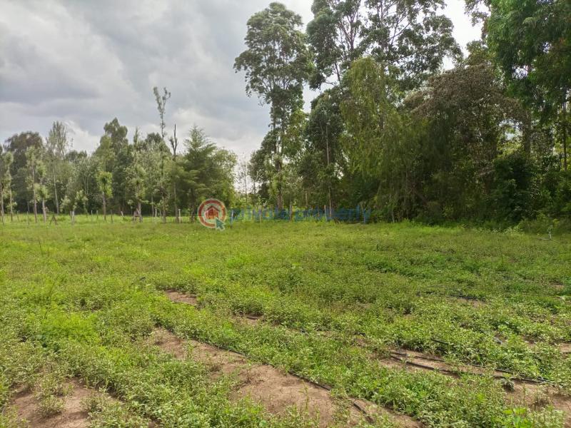 Commercial Property For Sale Nanyuki Laikipia - 0