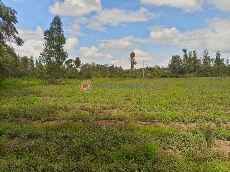 Commercial Property For Sale Nanyuki Laikipia - 2
