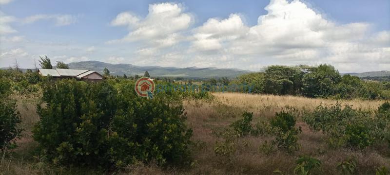 Commercial Land For Sale Nanyuki Laikipia - 1