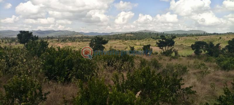 Commercial Land For Sale Nanyuki Laikipia - 6