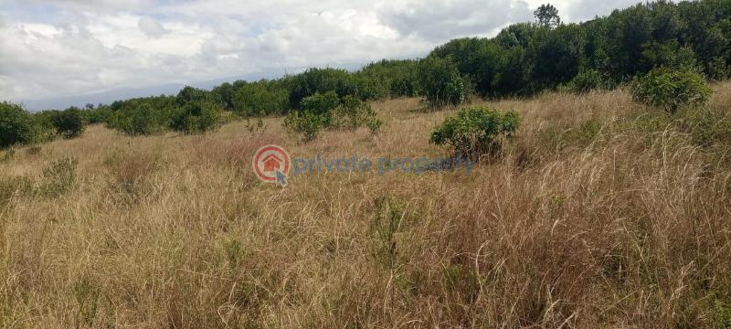 Commercial Land For Sale Nanyuki Laikipia - 5