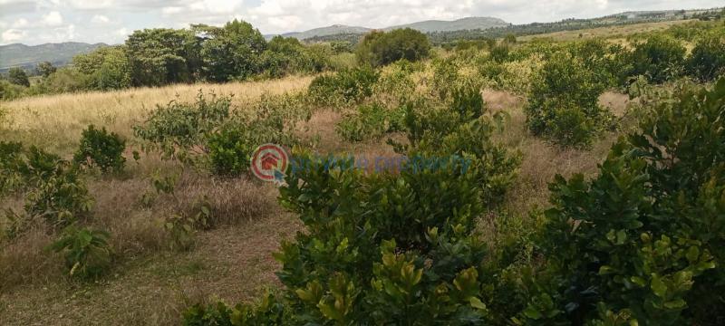 Commercial Land For Sale Nanyuki Laikipia - 2
