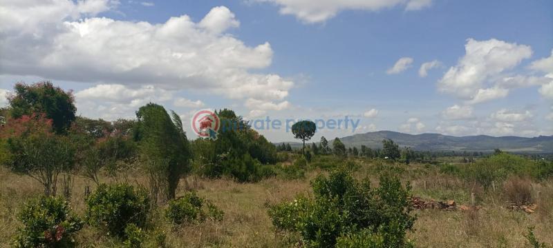 Commercial Land For Sale Nanyuki Laikipia - 4