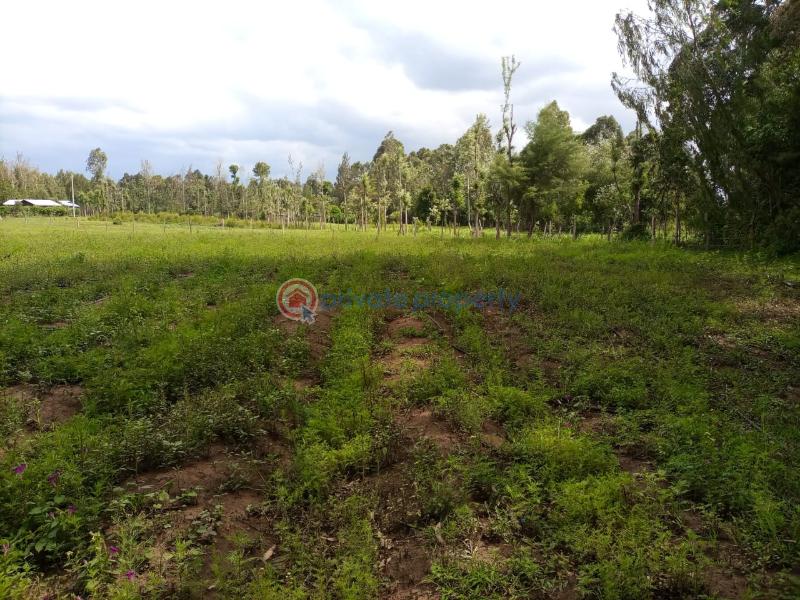 Commercial Property For Sale Nanyuki Laikipia - 1