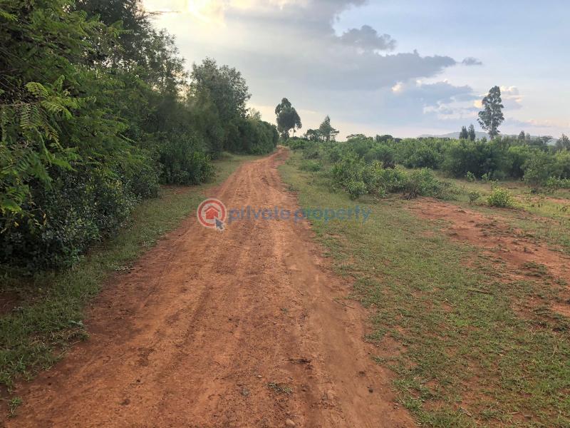 Land For Sale Lower Burguret, Mt. Kenya Region Mount Kenya Nanyuki Laikipia - 7