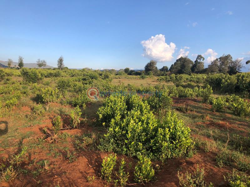 Land For Sale Lower Burguret, Mt. Kenya Region Mount Kenya Nanyuki Laikipia - 5
