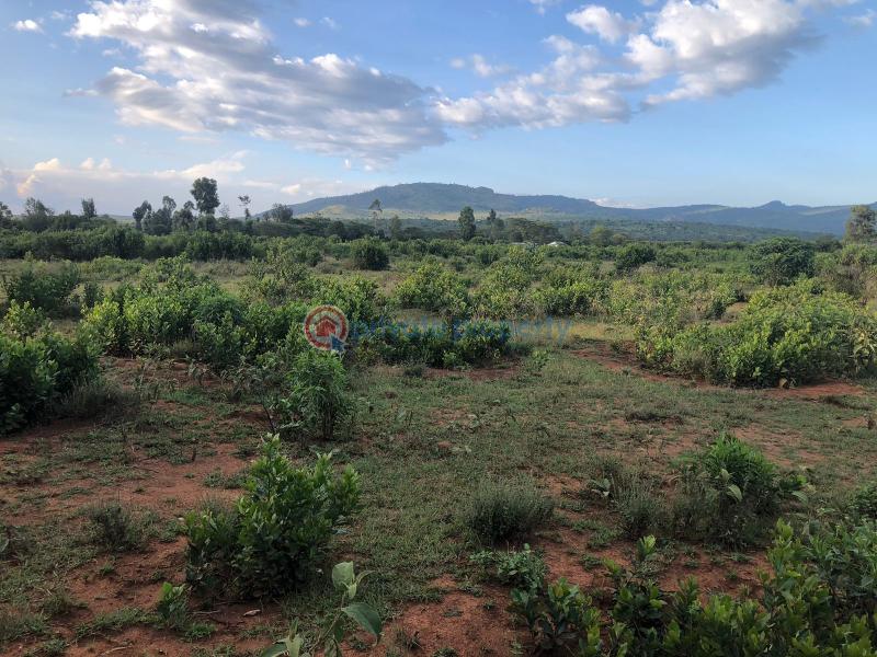 Land For Sale Lower Burguret, Mt. Kenya Region Mount Kenya Nanyuki Laikipia - 6