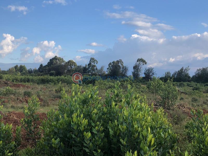 Land For Sale Lower Burguret, Mt. Kenya Region Mount Kenya Nanyuki Laikipia - 4