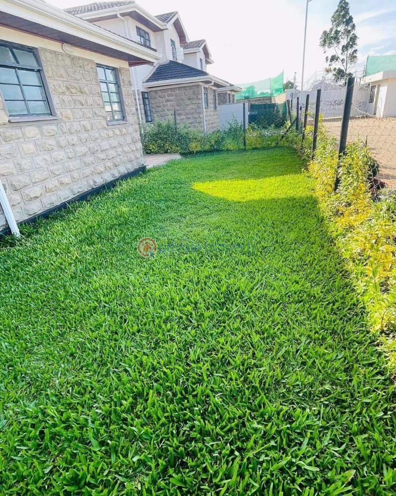 4 bedroom Townhouse For Sale Githunguri Rd Ruiru Kiambu - 9