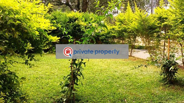 5 bedroom Detached Bungalow For Rent &nbsp;chalbi Drive Lavington Nairobi - 17