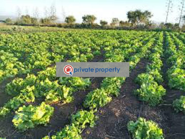 Hotel / Guest House For Sale &nbsp;kajiado Town Kitengela Kajiado - 7