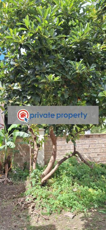 5 bedroom House For Sale &nbsp;kilimani Kilimani Nairobi - 10