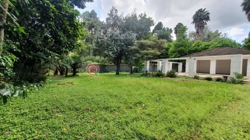 5 bedroom House For Sale Gigiri Nairobi Un Avenue Westlands Nairobi - 2