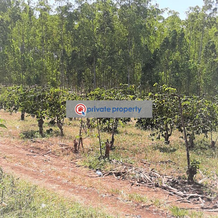 Commercial Land For Sale &nbsp;thika Superhighway Makuyu Muranga - 3
