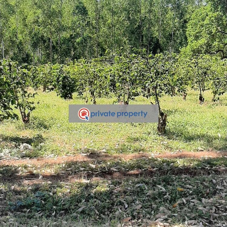 Commercial Land For Sale &nbsp;thika Superhighway Makuyu Muranga - 5