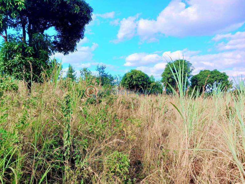 Commercial Land For Sale Makuyu Muranga - 2