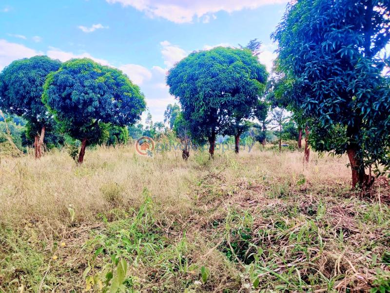 Commercial Land For Sale Makuyu Muranga - 5
