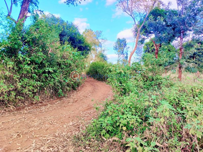 Commercial Land For Sale Makuyu Muranga - 3